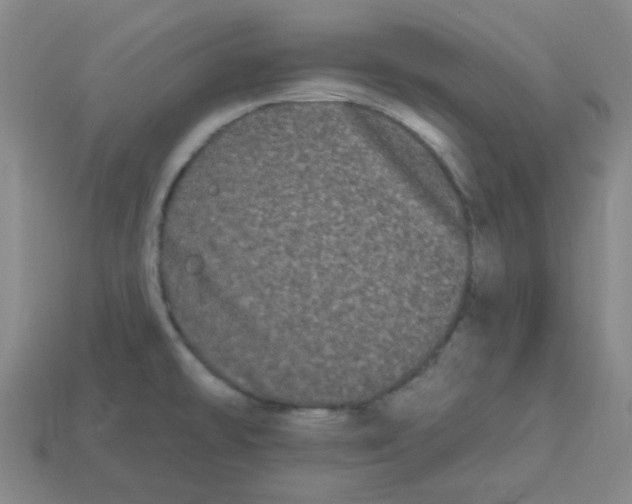 X0000113161478200910021450