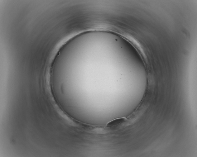 X0000113161480200910021450