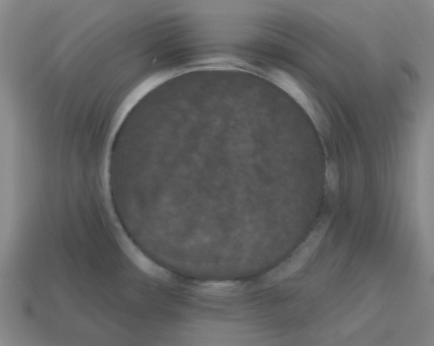 X0000113161482200910021450