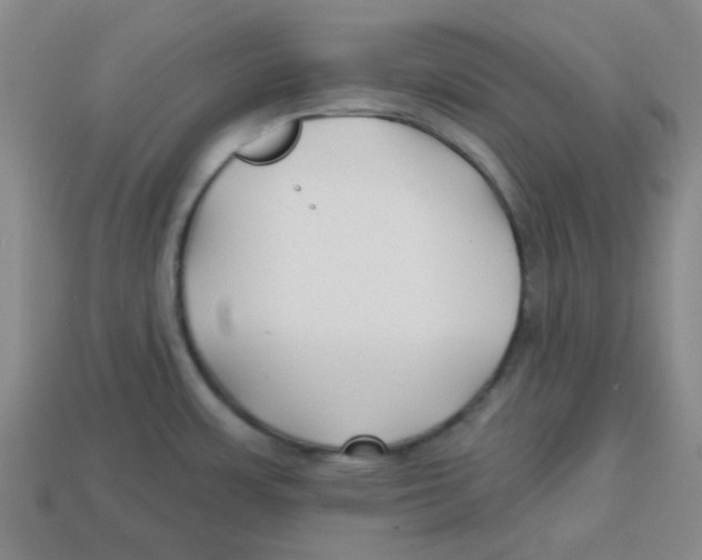 X0000113161483200910021450