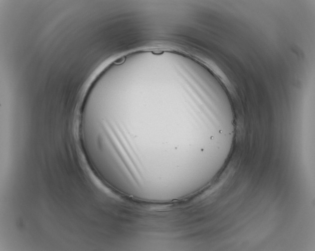 X0000113161484200910021450