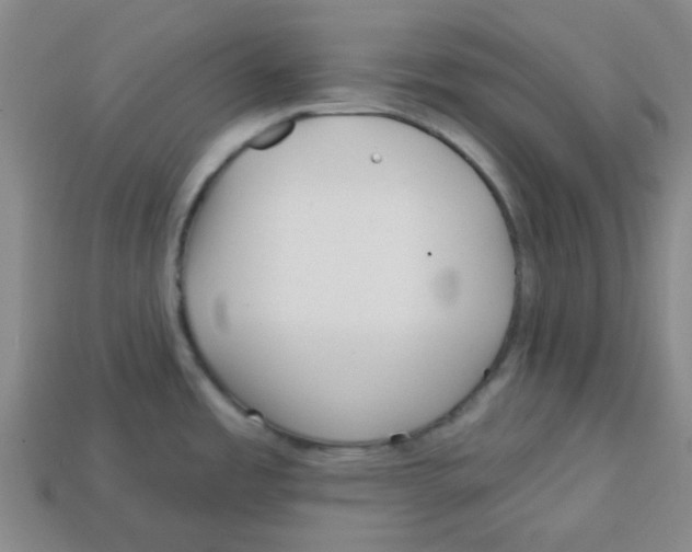 X0000113161485200910021450