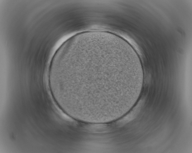 X0000113161486200910021450