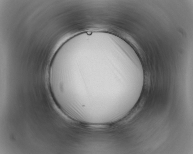 X0000113161487200910021450