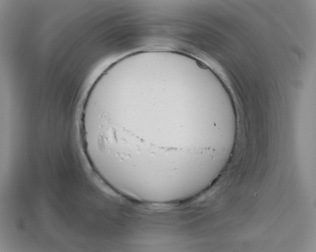 X0000113161488200910021450