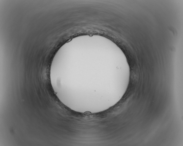 X0000113161490200910021450