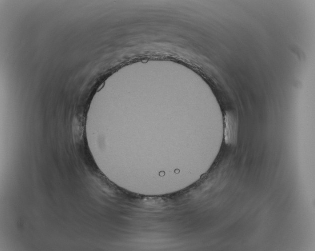 X0000113161491200910021450