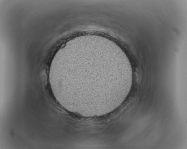 X0000113161493200910021450