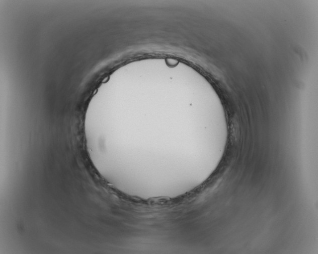 X0000113161494200910021450