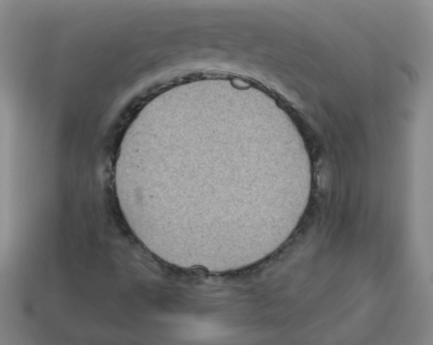 X0000113161495200910021450