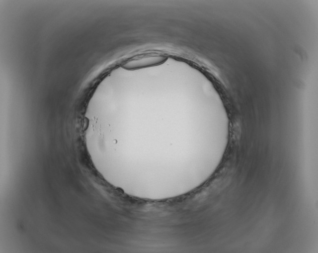 X0000113161496200910021450