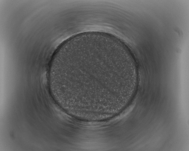 X0000113161497200910021450