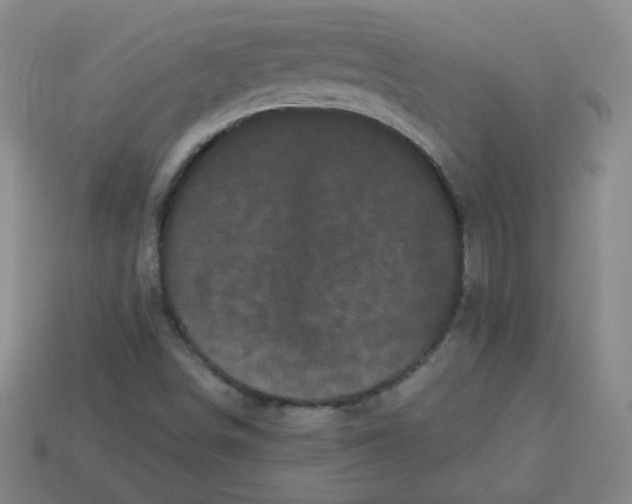 X0000113161498200910021450