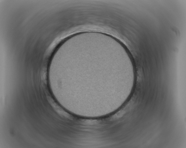 X0000113161499200910021450