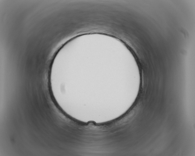 X0000113161500200910021450