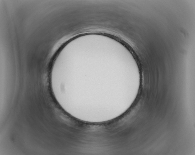 X0000113161501200910021450