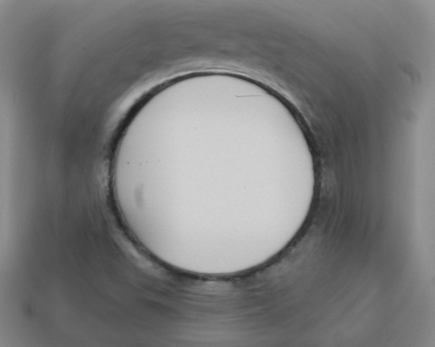 X0000113161503200910021450