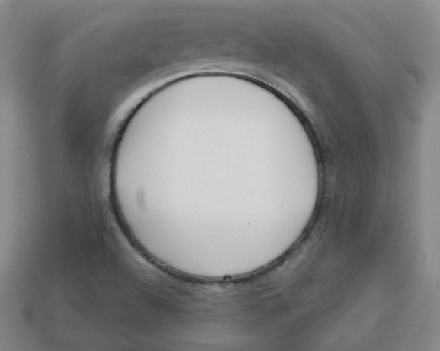 X0000113161504200910021450