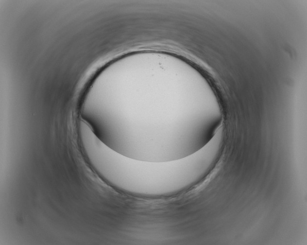 X0000113161506200910021450