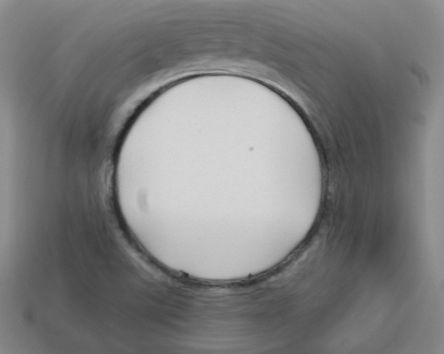 X0000113161507200910021450