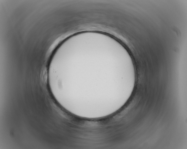 X0000113161509200910021450