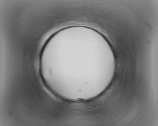 X0000113161511200910021450