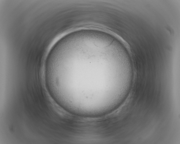 X0000113161514200910021450