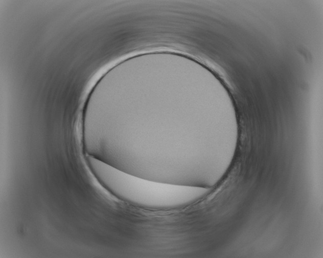 X0000113161516200910021450