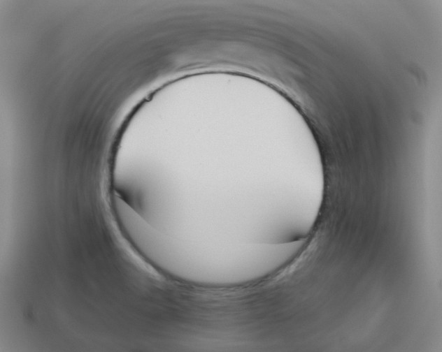 X0000113161518200910021450