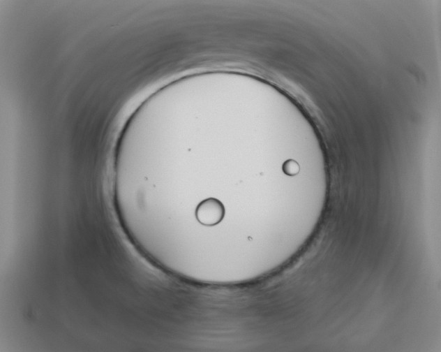 X0000113161520200910021450