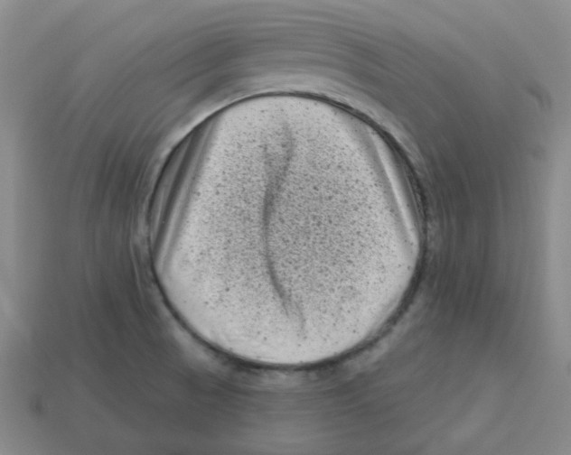 X0000113161521200910021450