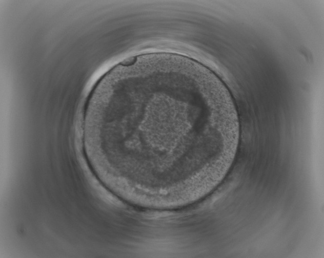 X0000113161522200910021450