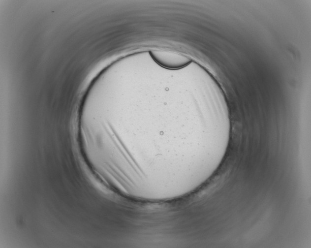 X0000113161523200910021450