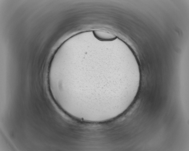 X0000113161525200910021450