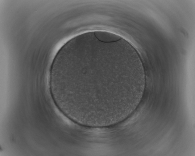 X0000113161527200910021450