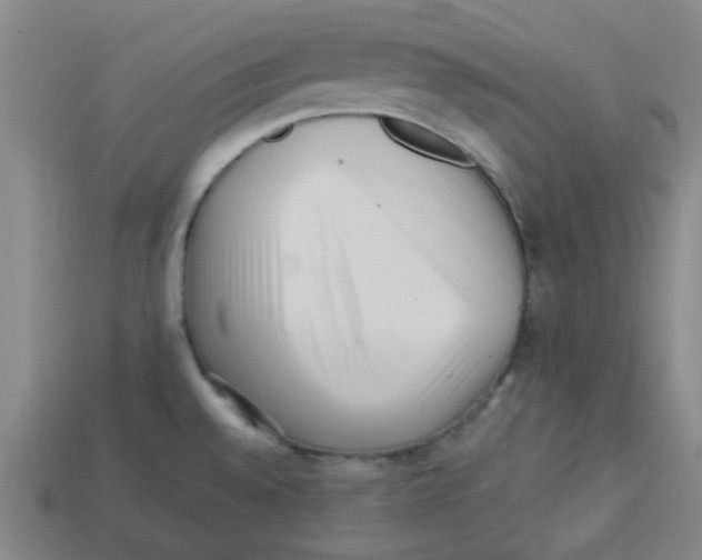 X0000113161528200910021450