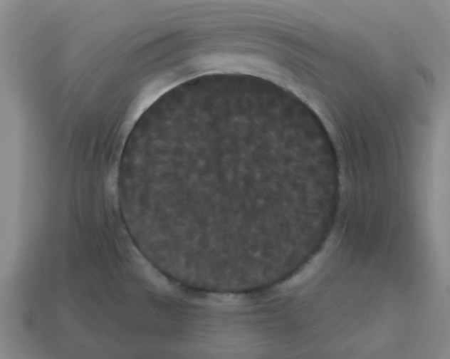 X0000113161529200910021450