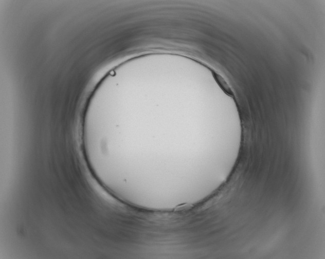 X0000113161531200910021450