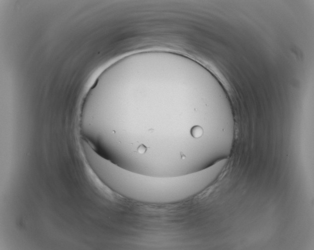 X0000113161532200910021450