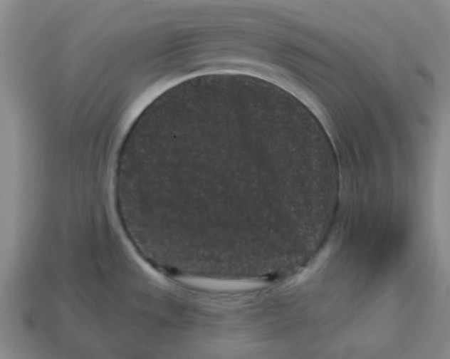 X0000113161533200910021450