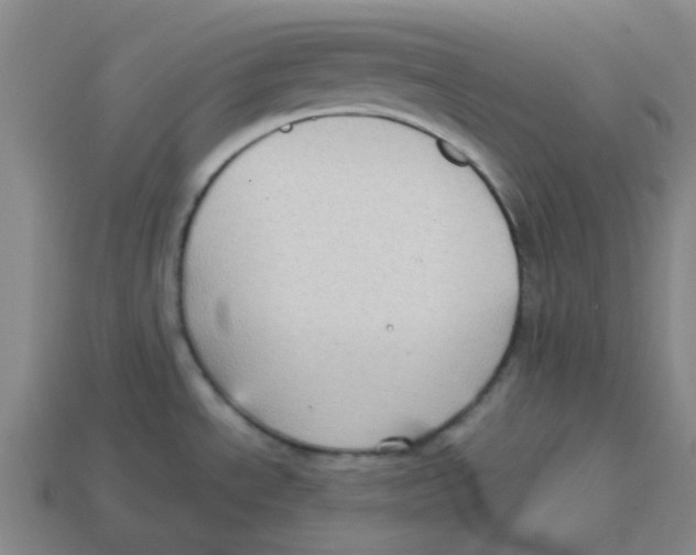 X0000113161534200910021450