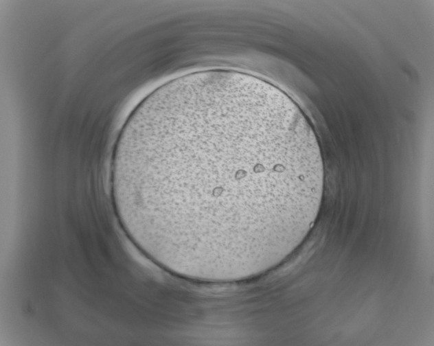 X0000113161535200910021450