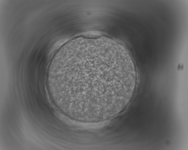 X0000113160001200910161255