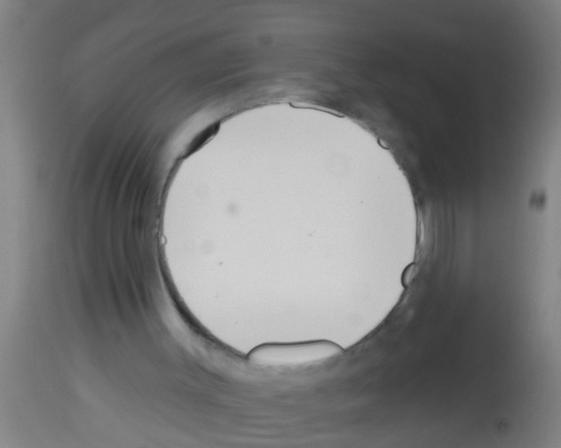 X0000113160003200910161255