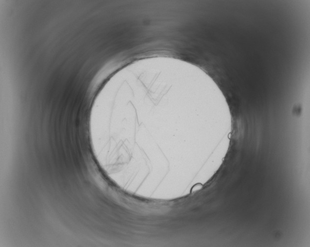 X0000113160004200910161255