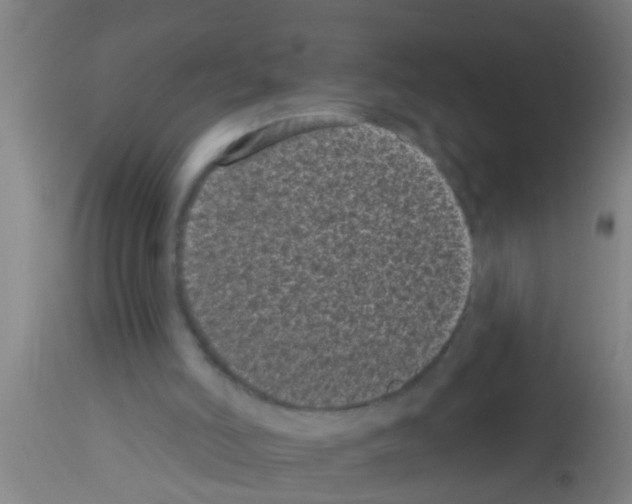 X0000113160006200910161255