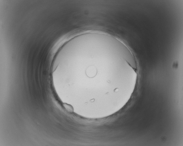 X0000113160007200910161255