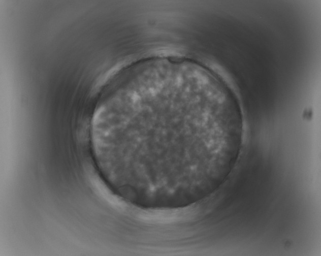 X0000113160009200910161255