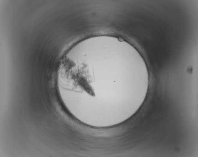 X0000113160010200910161255