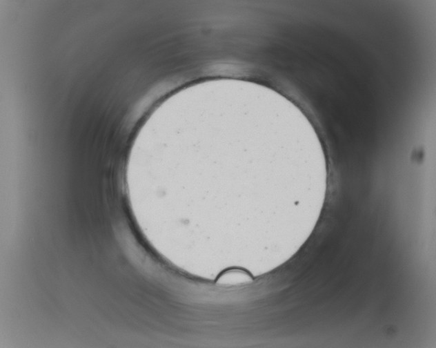 X0000113160011200910161255